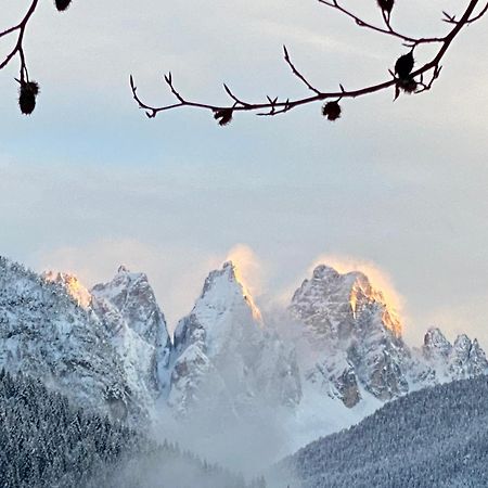 Fra Rose E Mughi Bed & Breakfast Domegge di Cadore Exterior photo