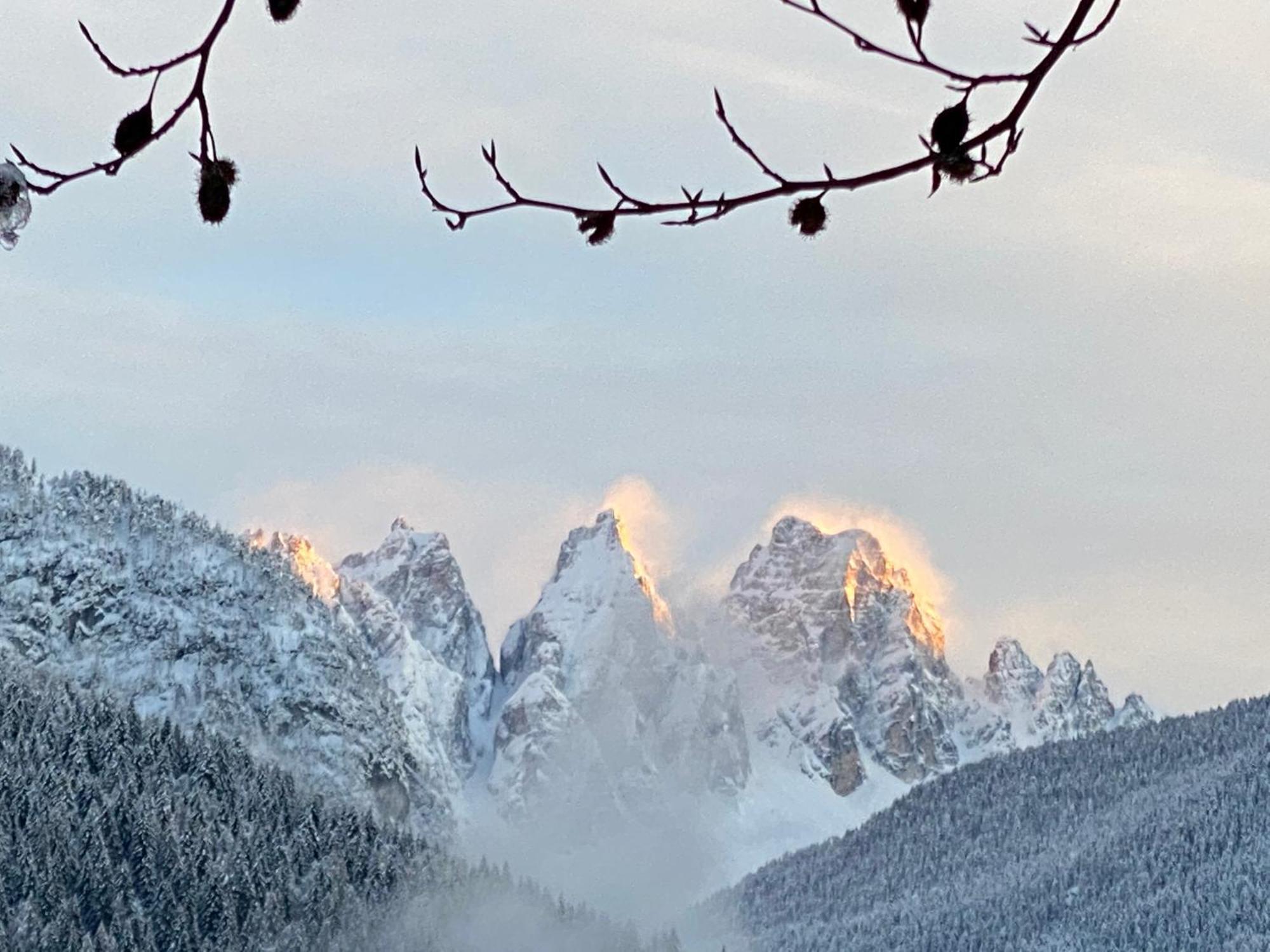 Fra Rose E Mughi Bed & Breakfast Domegge di Cadore Exterior photo