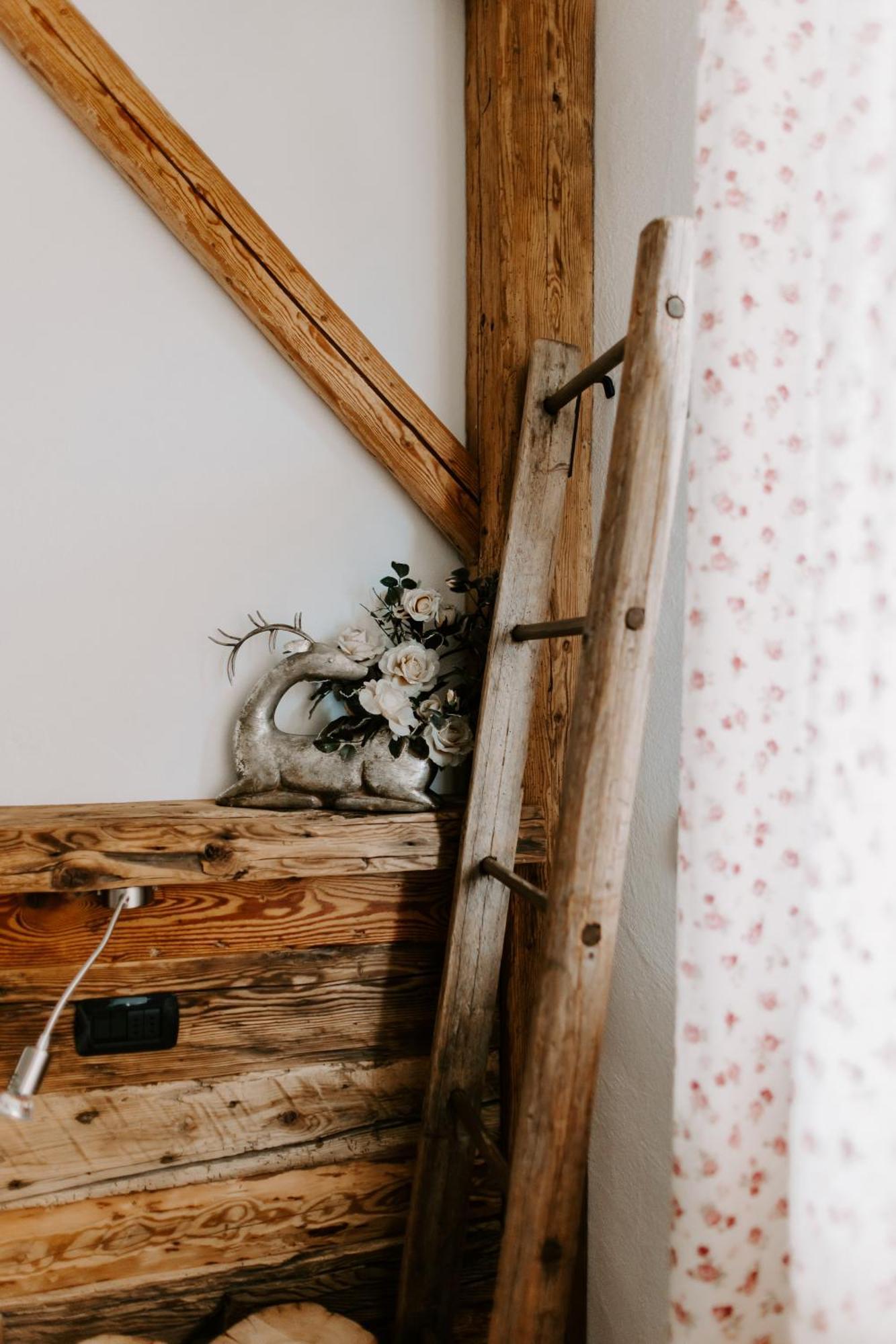 Fra Rose E Mughi Bed & Breakfast Domegge di Cadore Exterior photo