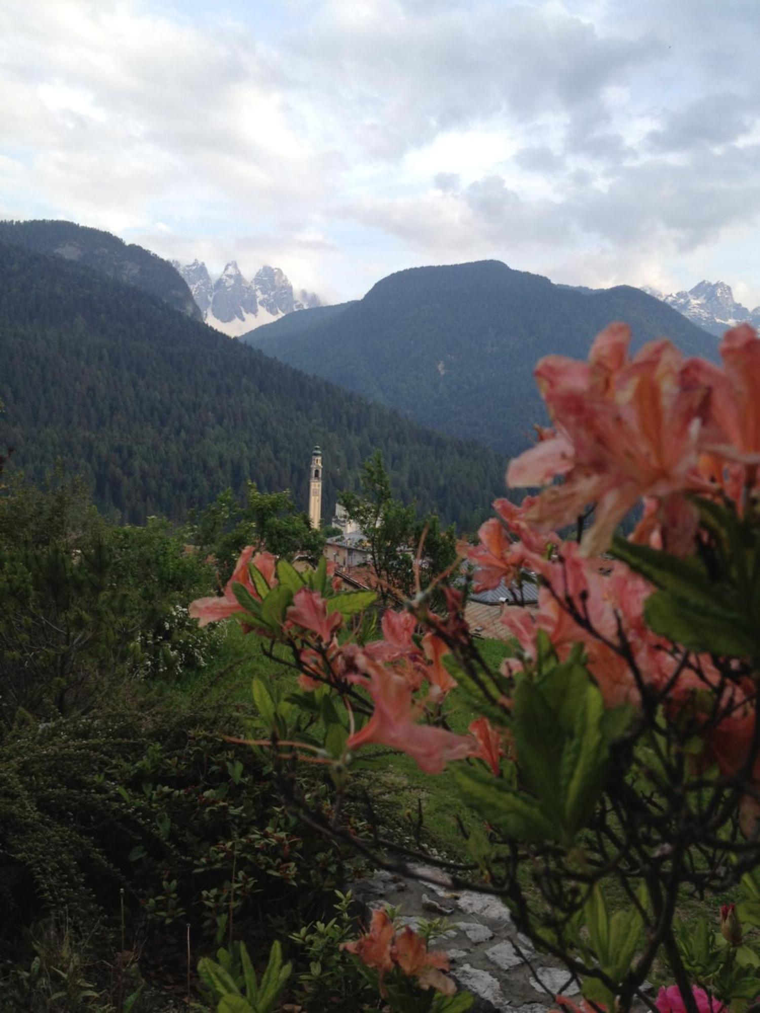 Fra Rose E Mughi Bed & Breakfast Domegge di Cadore Exterior photo